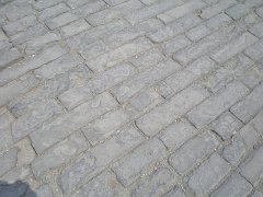 P4281011