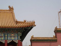 P4281018