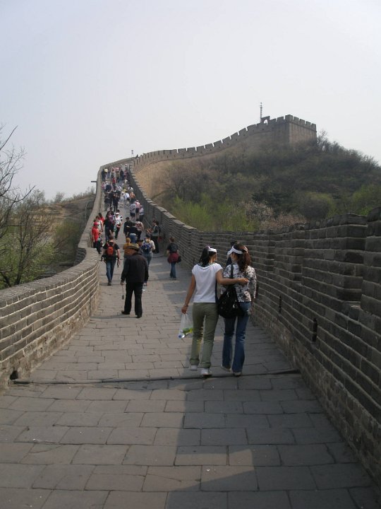 P4291282
