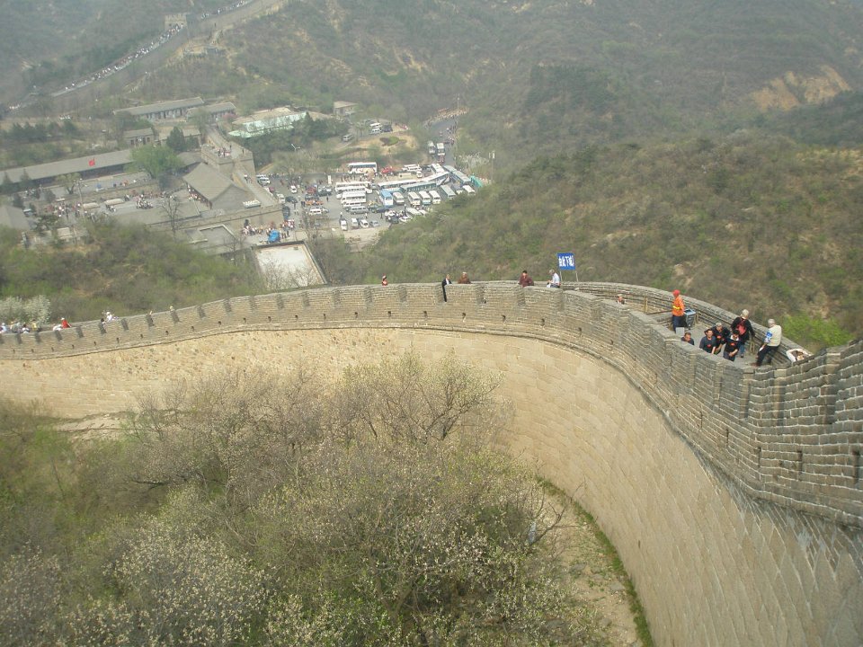 P4291288