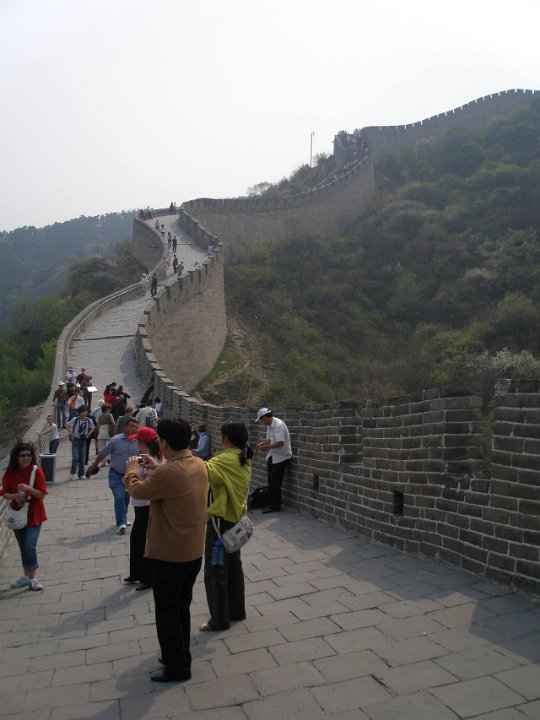 P4291291