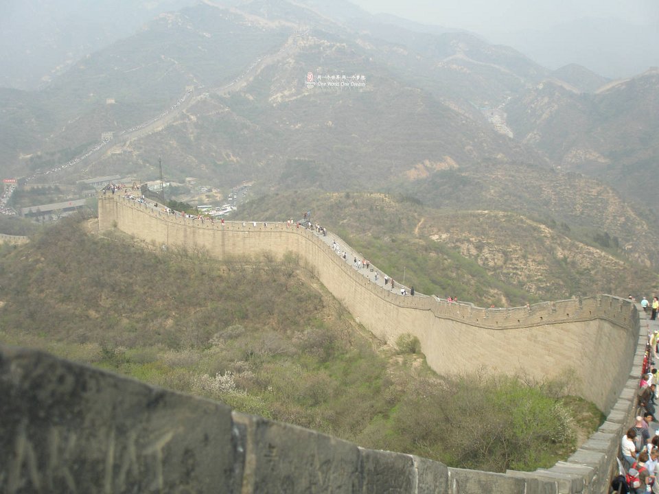 P4291293