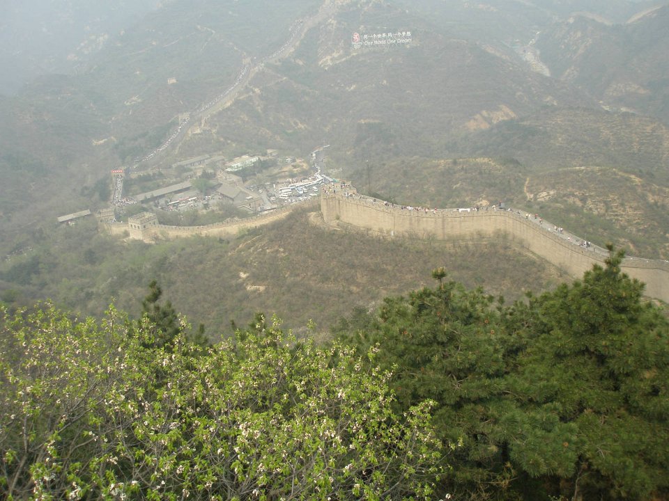 P4291299