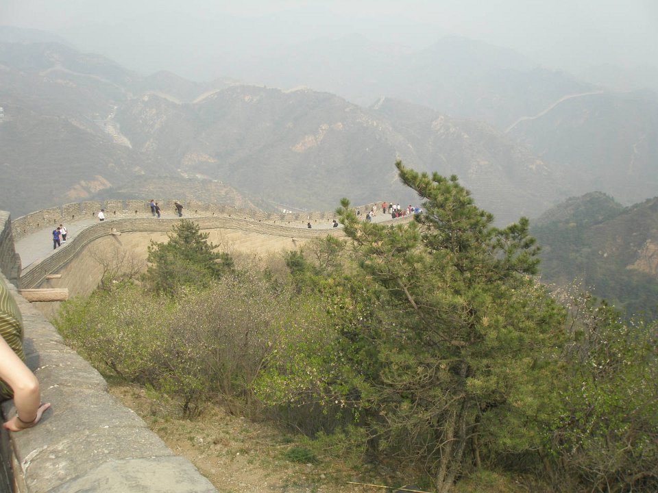 P4291301