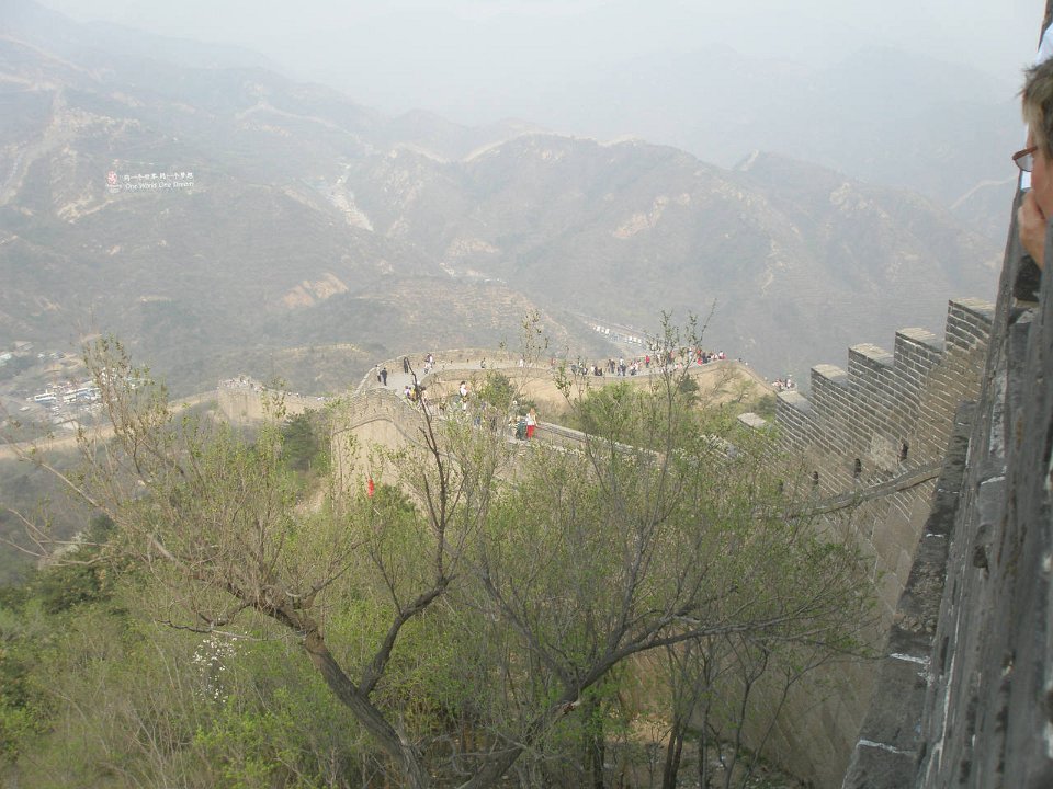 P4291303