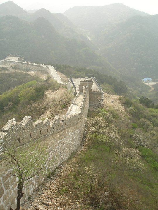 P4291323