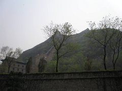 P4291267