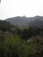 P4291283