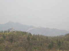 P4291285