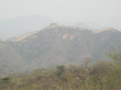 P4291286