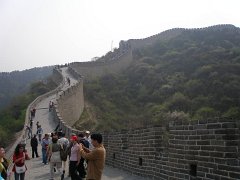 P4291290
