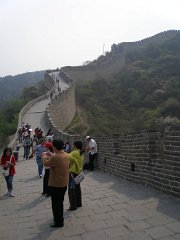 P4291291