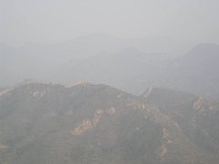 P4291295