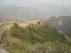 P4291338