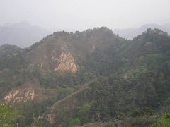 P4291341