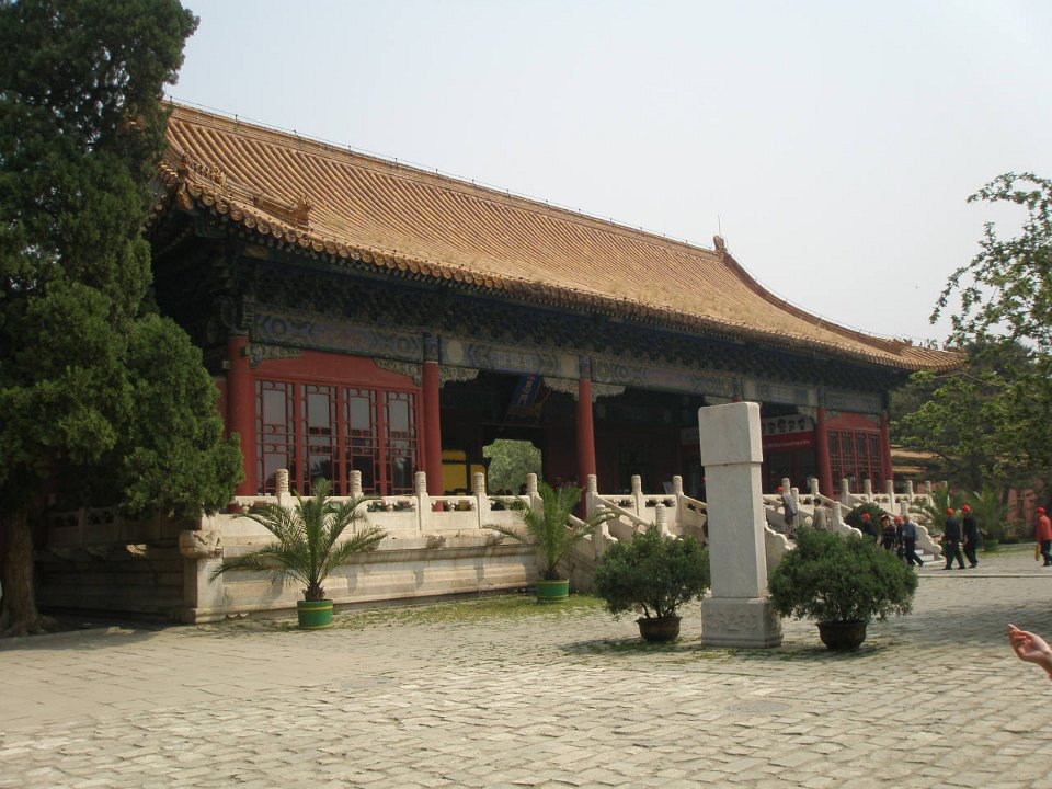 P4291176