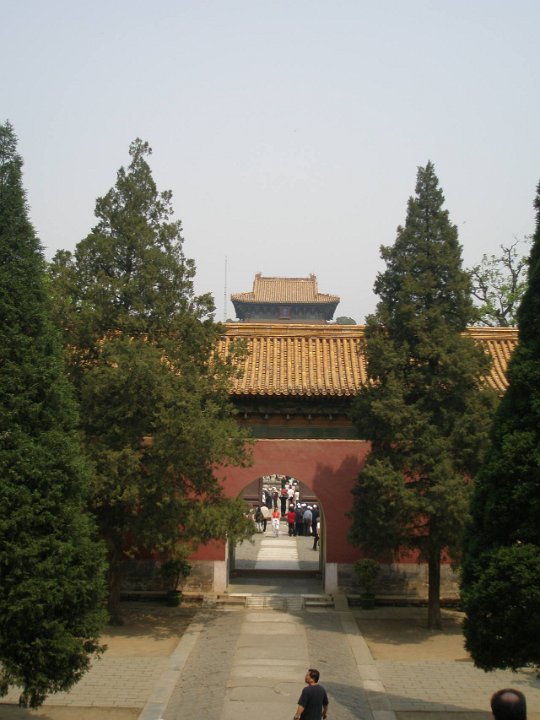 P4291207