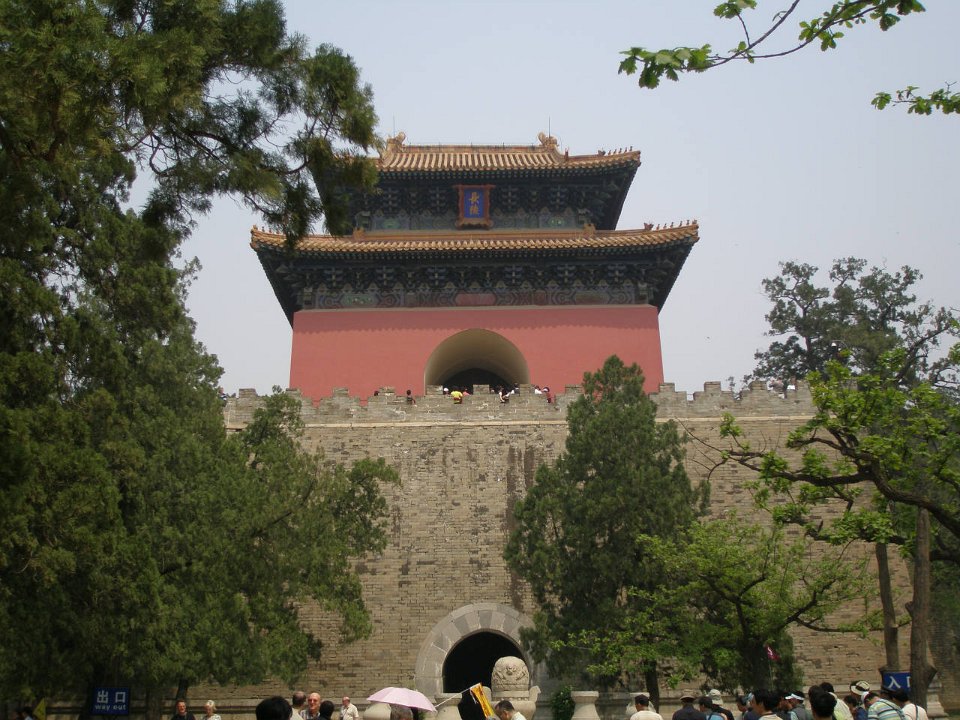 P4291213