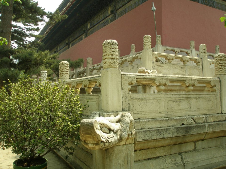 P4291236