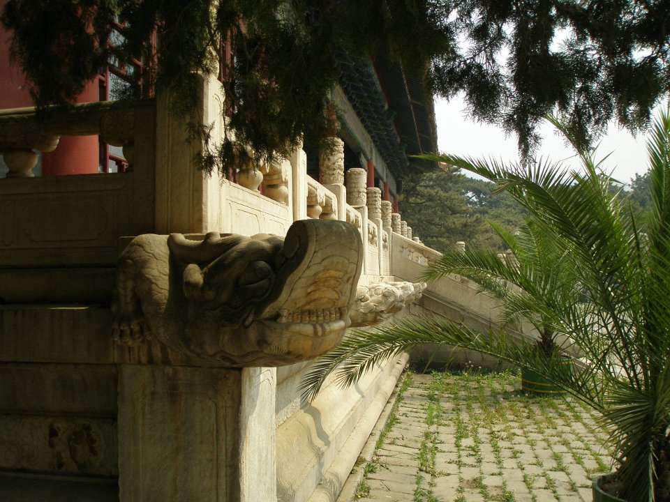 P4291238