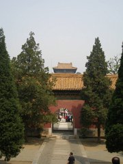 P4291207