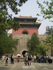P4291212