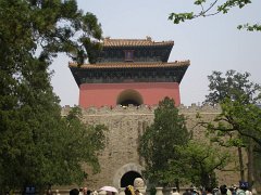 P4291213