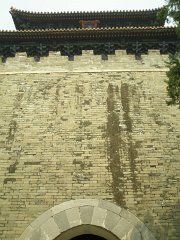 P4291216
