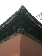 P4291219