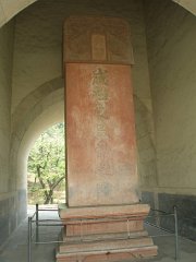 P4291223