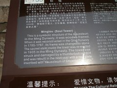 P4291224