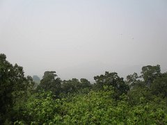P4291225