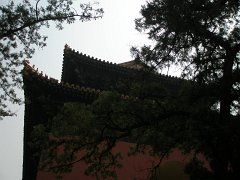 P4291228