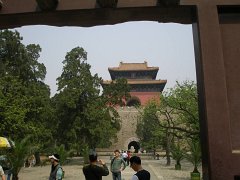 P4291233