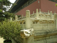 P4291236