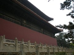 P4291237