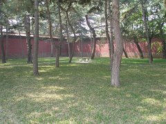 P4291239