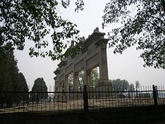 P4291247