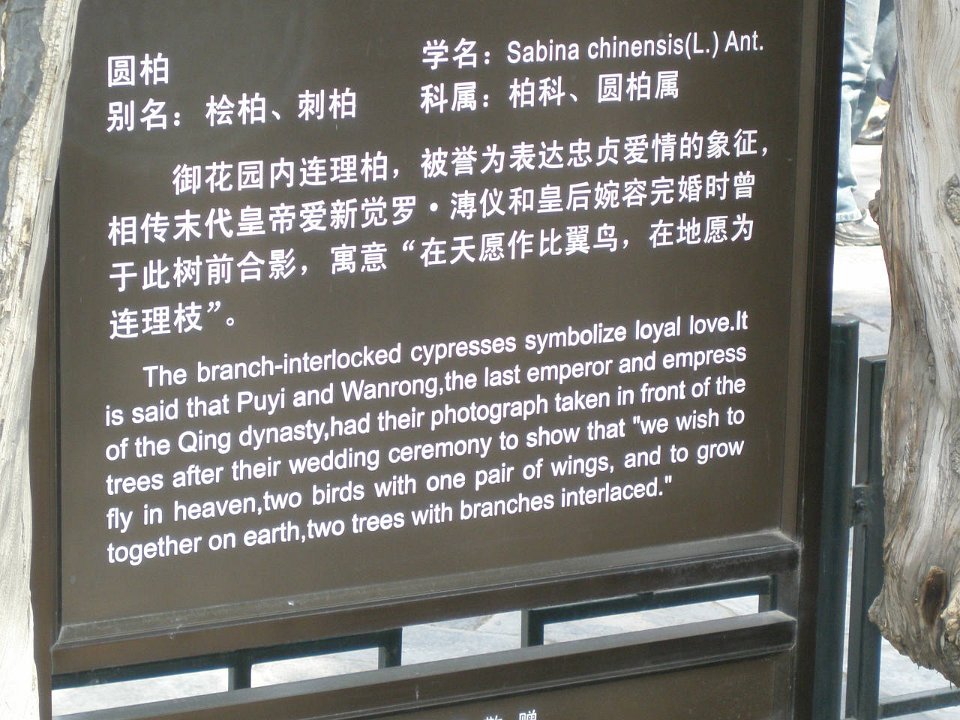 P4281060