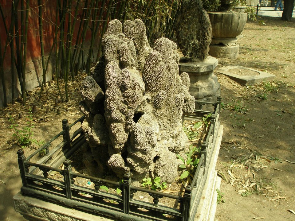 P4281065