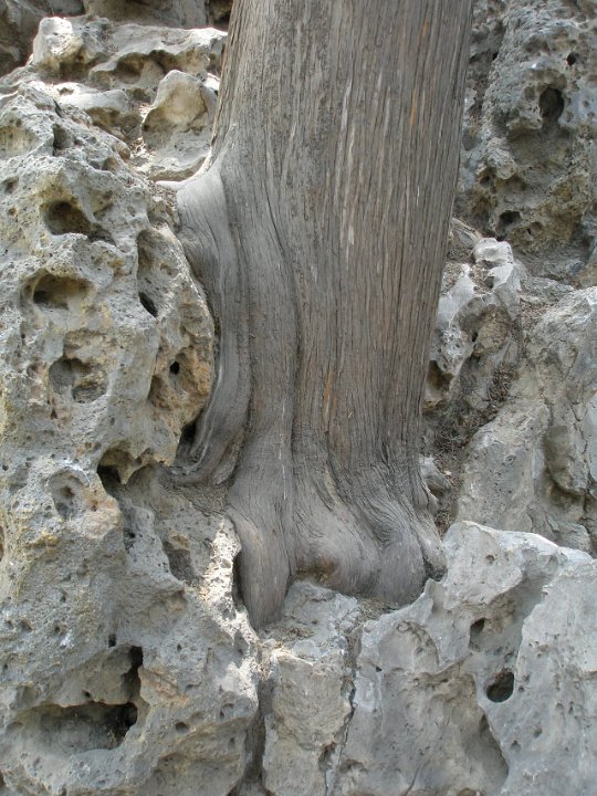 P4281066