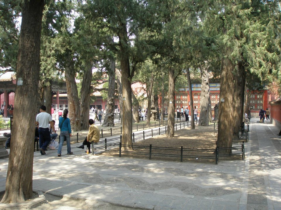 P4281067