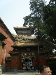 P4281077