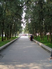 P4281152
