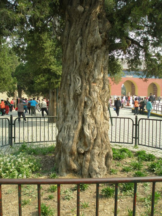 P4280905