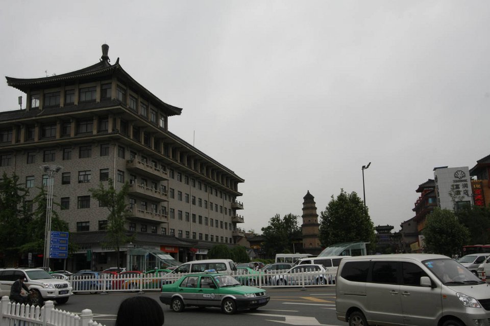 IMG 7817