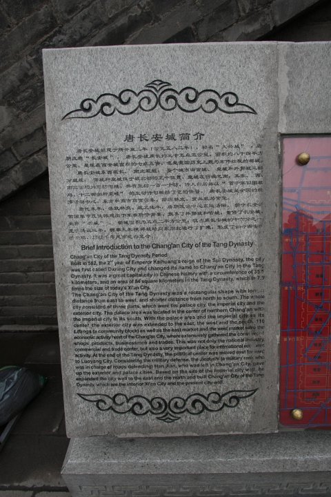 IMG 7828