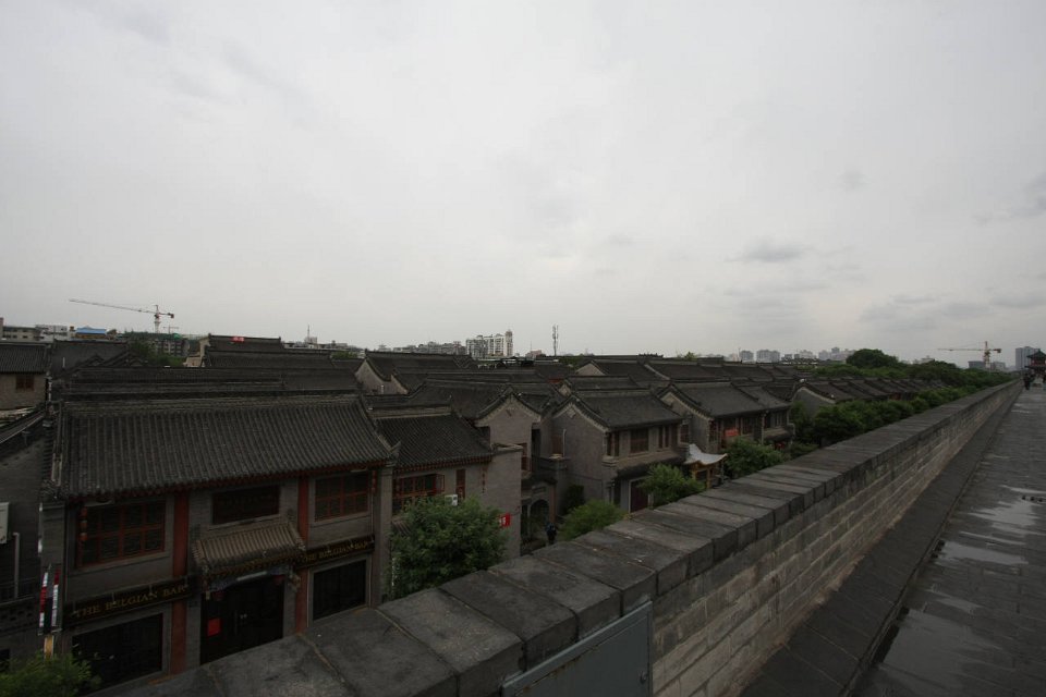 IMG 7845
