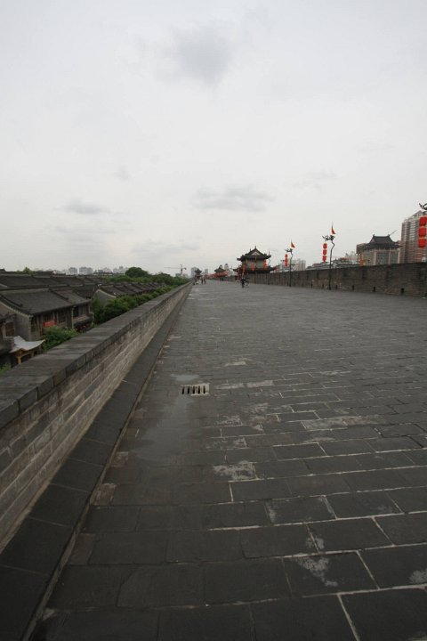 IMG 7847