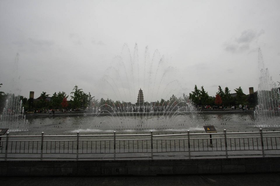 IMG 7875